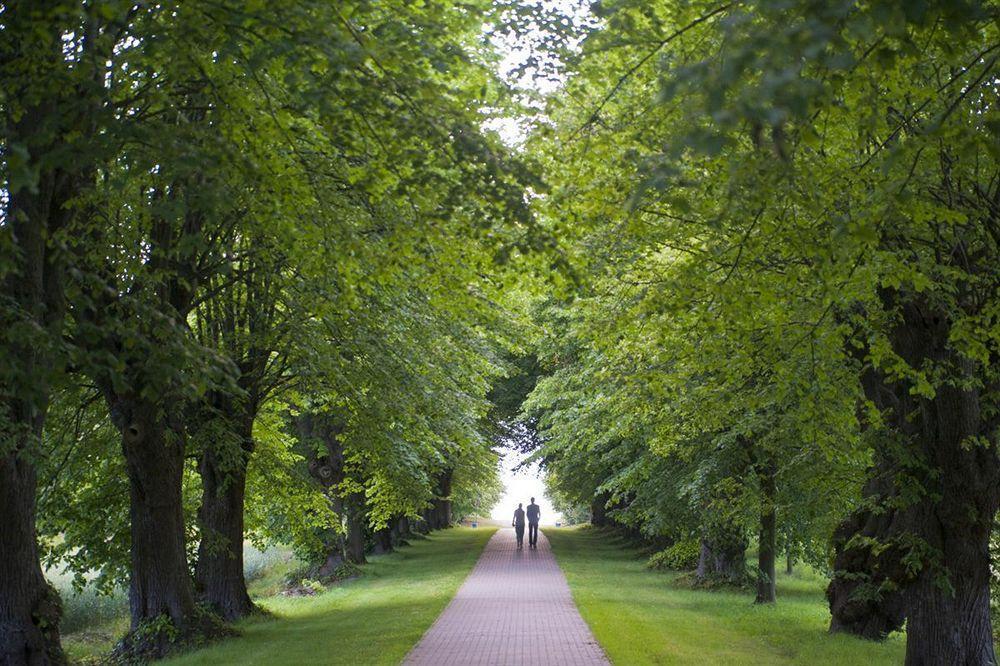 Schlossgut Groß Schwansee Buitenkant foto The avenue of lime trees